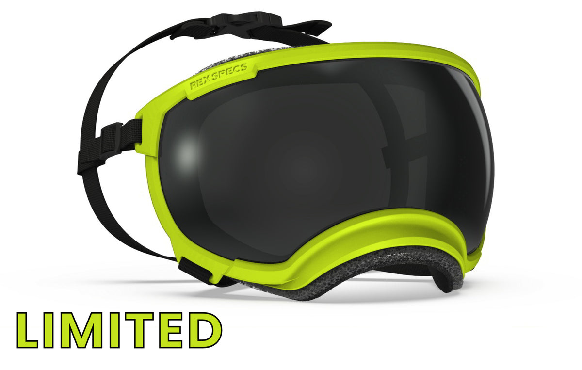Rex Specs V2 shipping returns