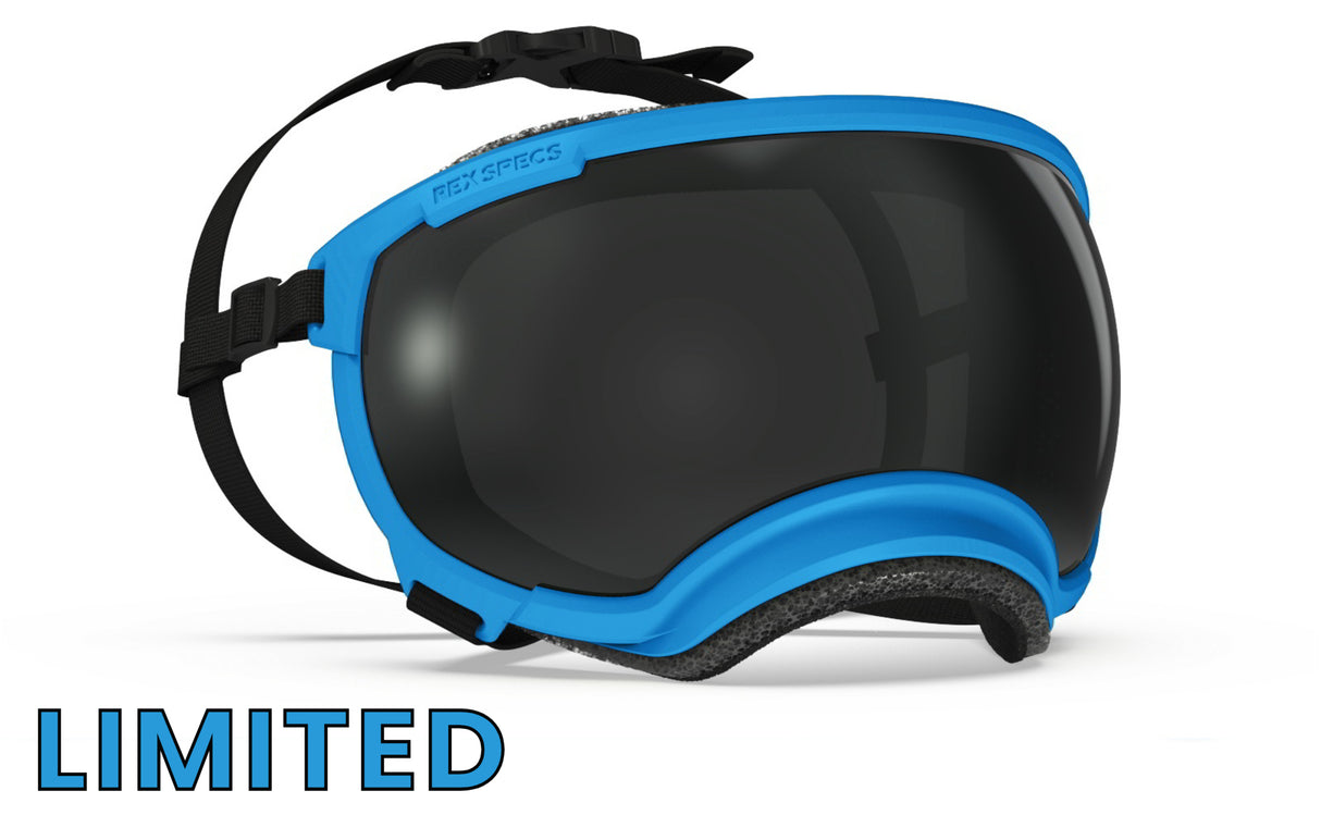 hundebrille von rex specs in limieterter farbe hurricane blue größe xl