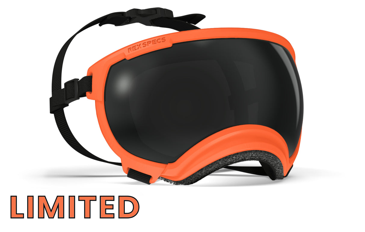 hundebrille von rex specs in einer limieterten farbe blaze orange