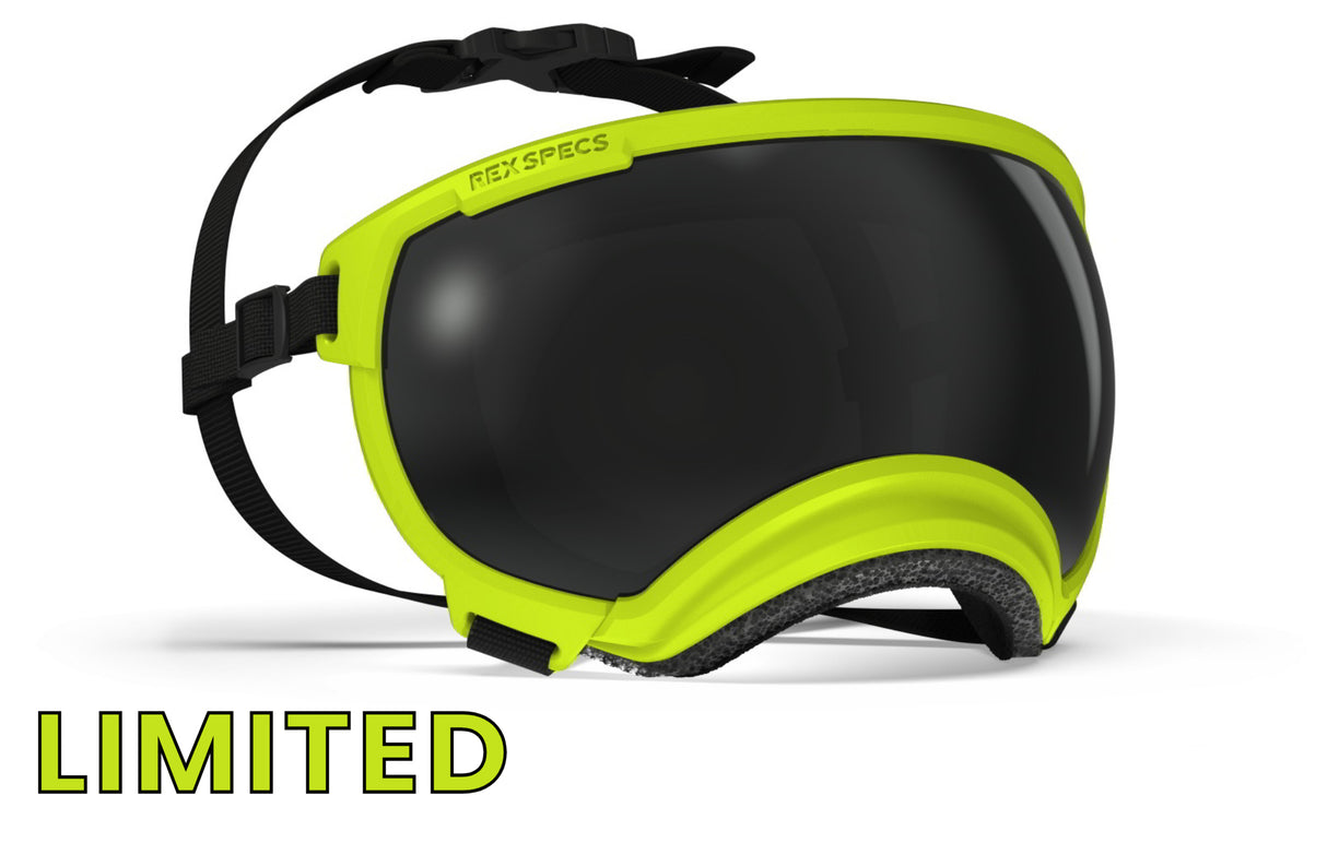 hundebrille von rex specs in limitierter farbe electric lime größe m