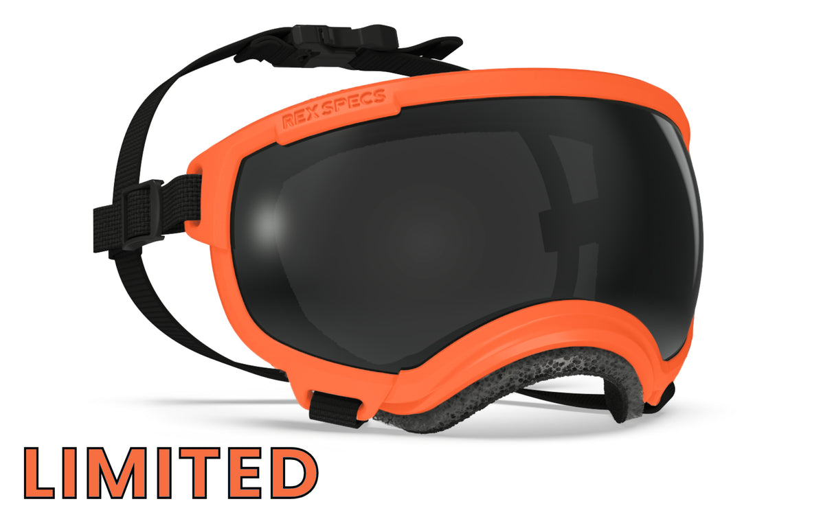 hundebrille von rex specs in limitierter farbe größe m