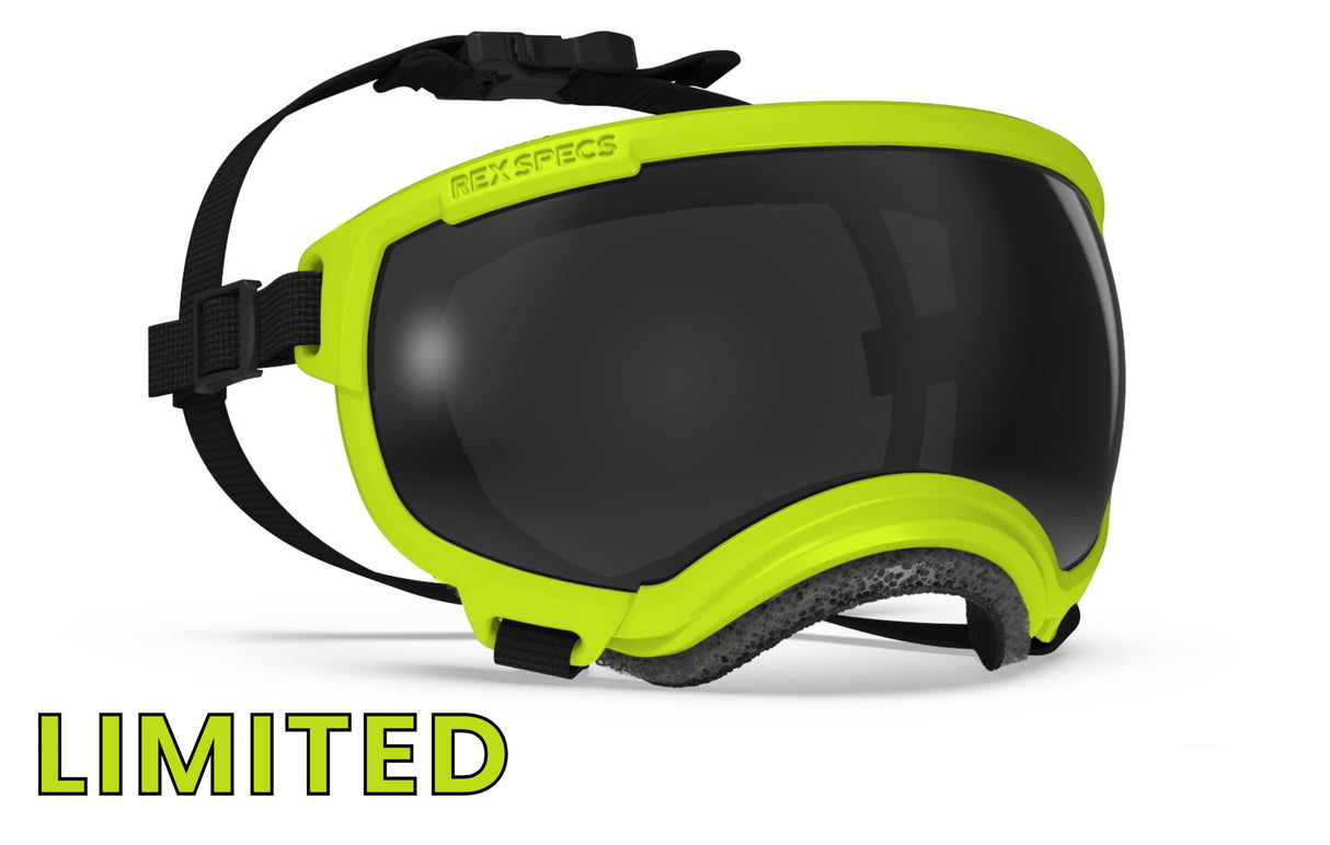 hundebrille von rex specs in limitierter farbe electric lime größe s