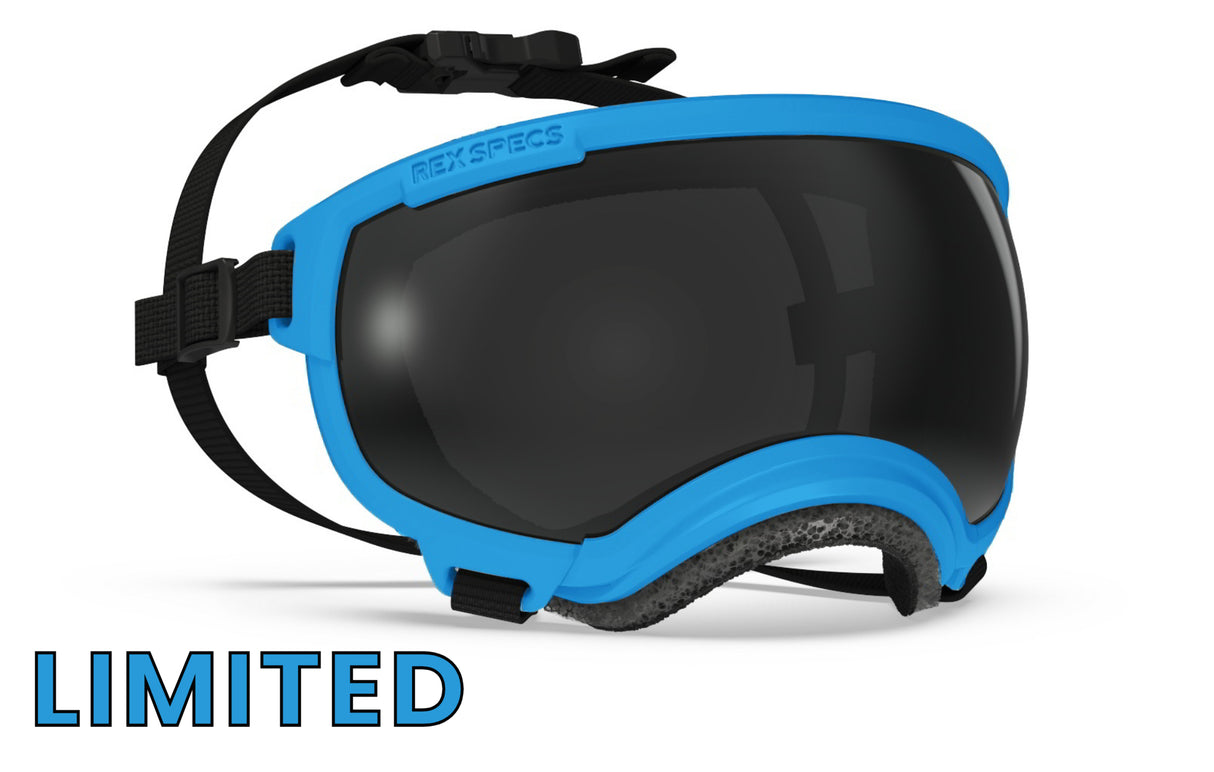 hundebrille von rex specs in limieterter farbe hurricane blue größe s