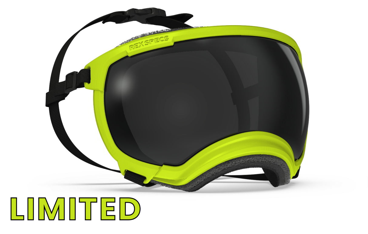 hundebrille von rex specs in limitierter farbe electric lime größe xl