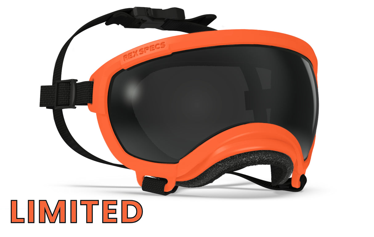 hundebrille von rex specs in limitierter Farbe blaze orange größe xs