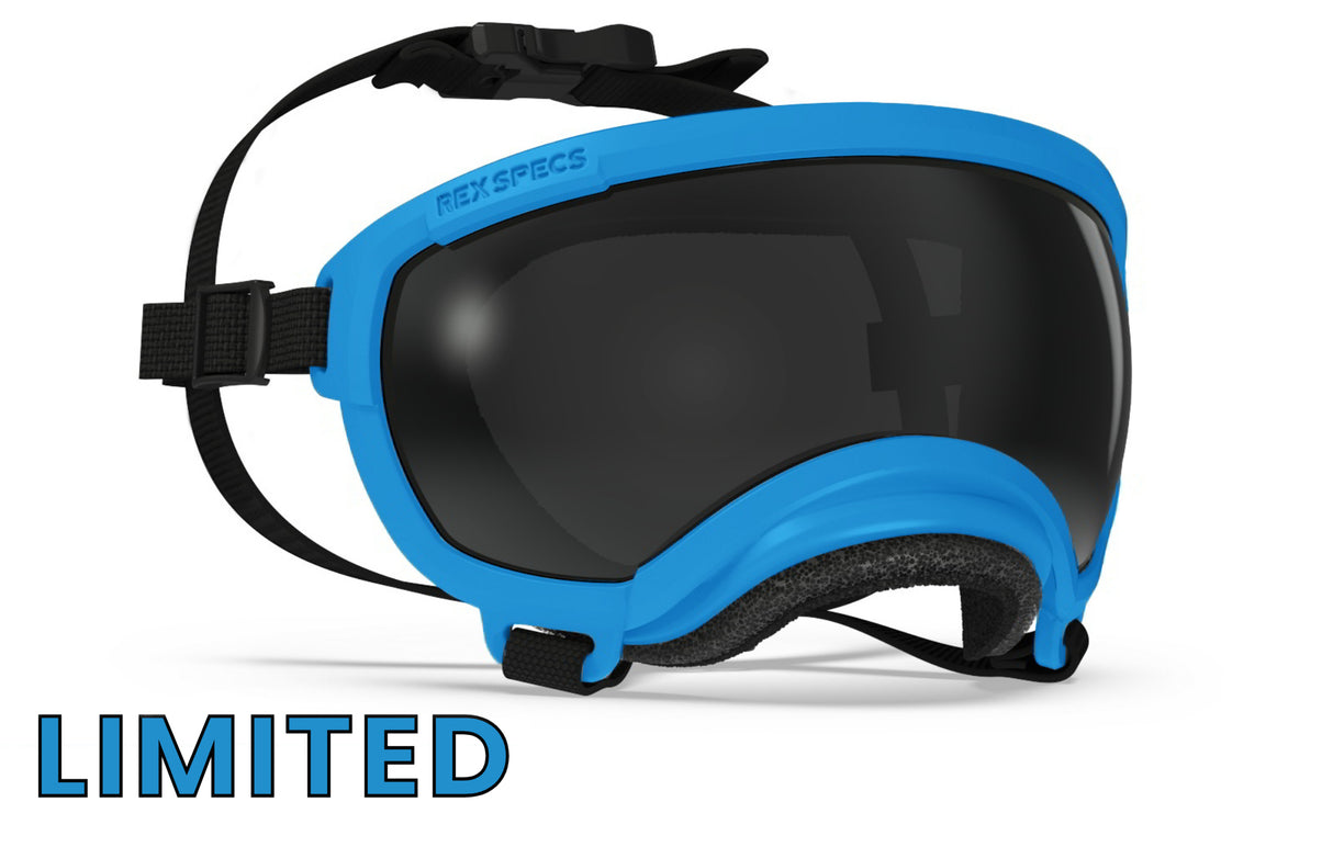 rex specs hundebrille in farbe blau