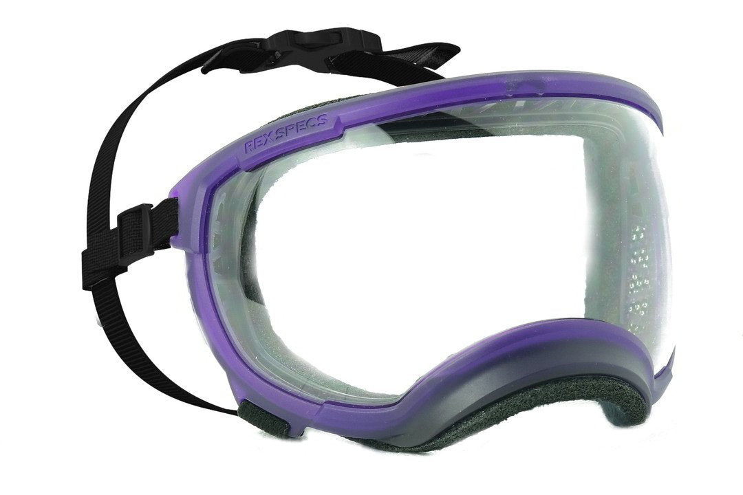 hundebrille rex specs in farbe riptide purple. mit klarer scheibe