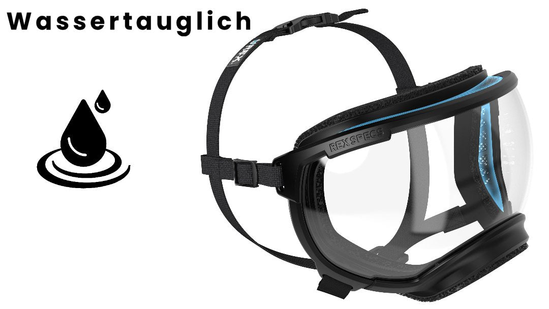 Hundebrille Rex Specs V2 Größe L