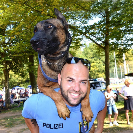 Team-Rigr-k9