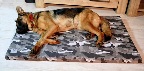 hundematte_orthopadisch_Heidi