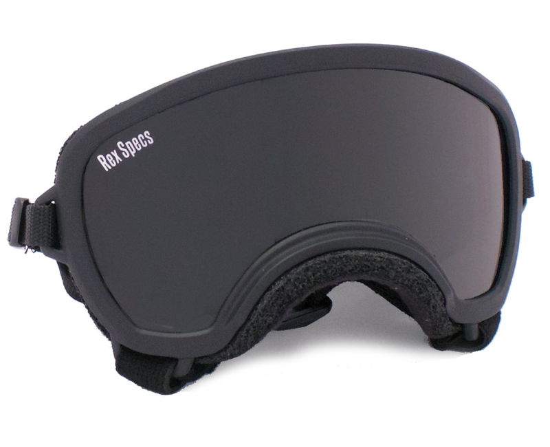Rex Specs Hundebrille Größe SWide