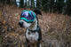 Hundebrille Größe XL