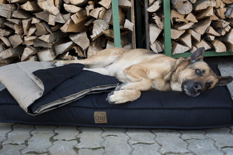 Orthopaedische Hundekissen