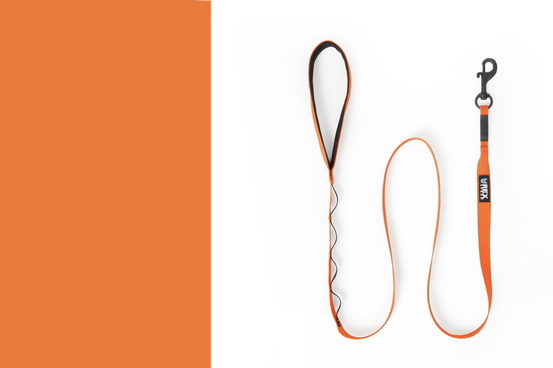 Rex Specs Trailhead Leash Single, vielseitige Hundeleine