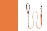 Rex Specs Trailhead Leash Single, vielseitige Hundeleine