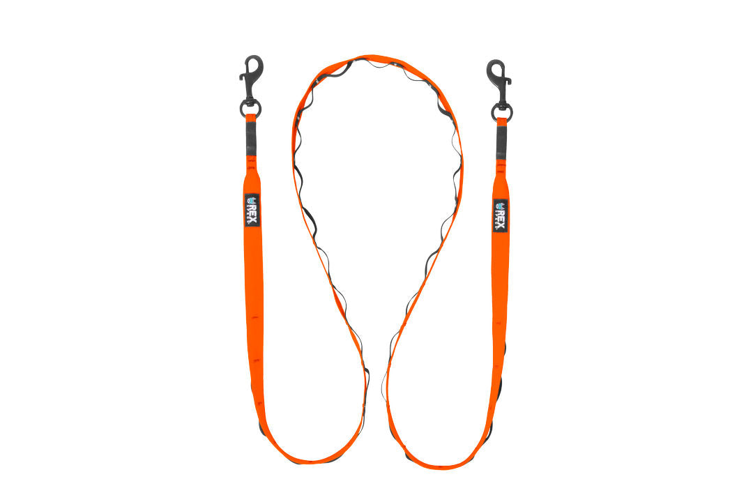 Rex Specs Trailhead Leash Dual Snap