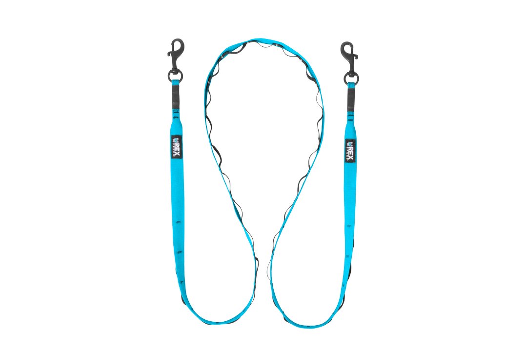 Rex Specs Trailhead Leash Dual Snap