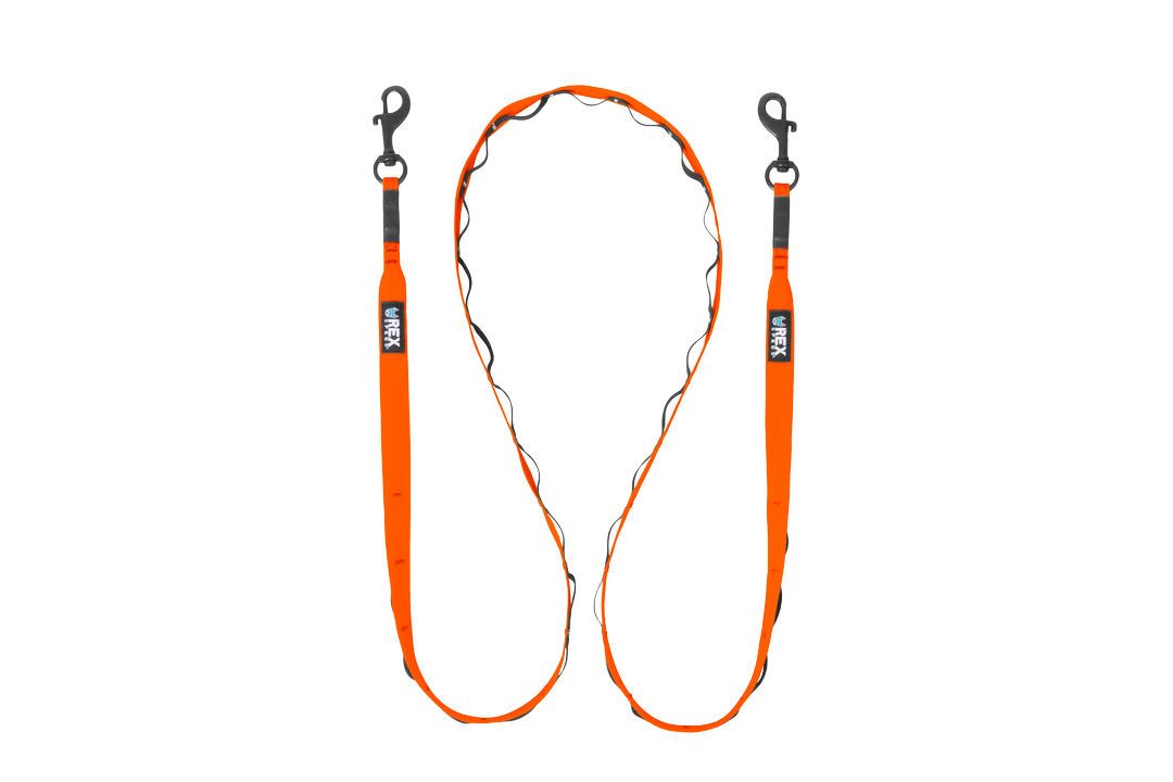 Rex Specs Trailhead Leash Dual Snap
