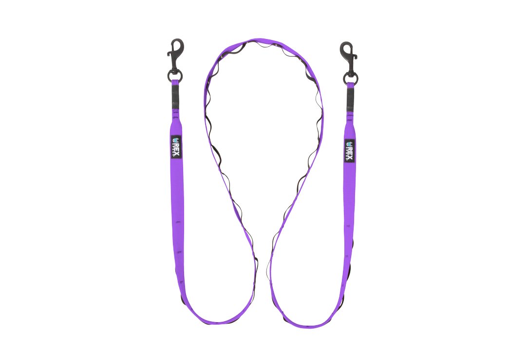 Rex Specs Trailhead Leash Dual Snap