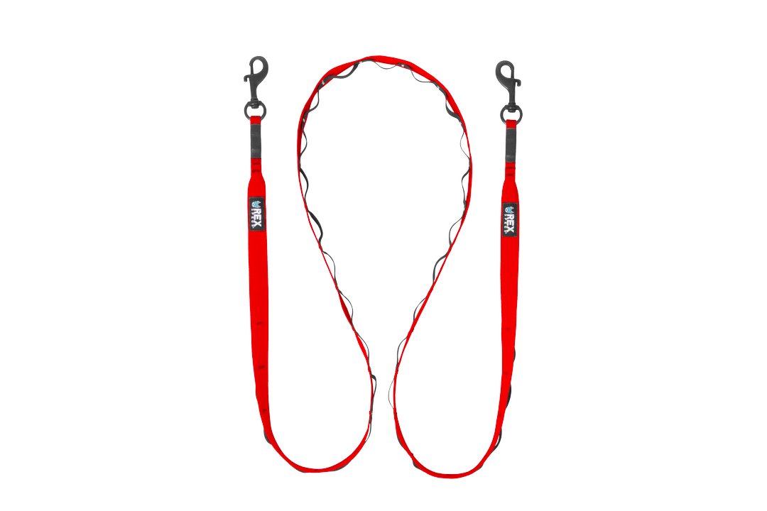 Rex Specs Trailhead Leash Dual Snap