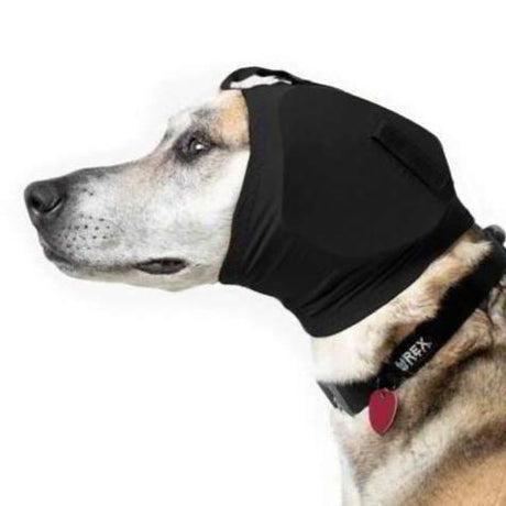hund mit hundegehörschutz von rex specs