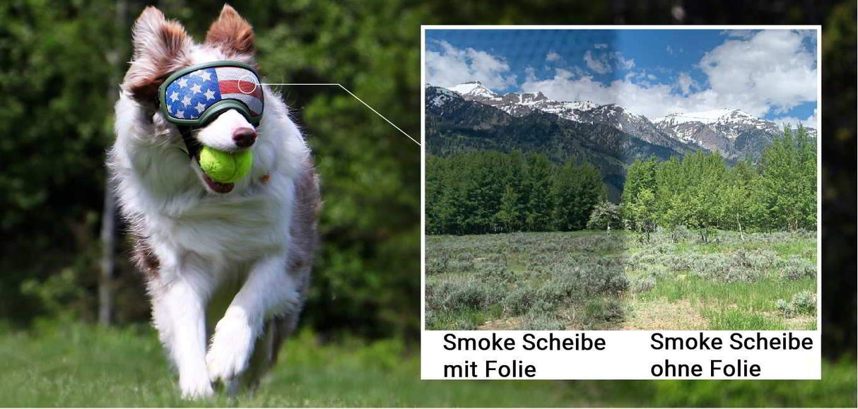 Rex Specs Lens Wraps V2