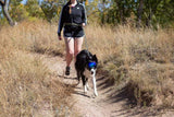 Rex Specs Trailhead Leash Dual Snap