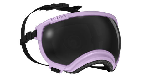 rex specs hundebrille farbe lavendel größe m