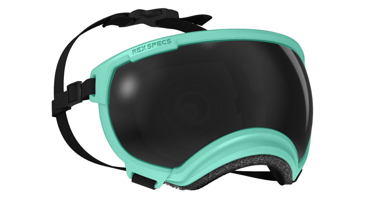 rex specs hundebrille größe m farbe mint