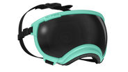 rex specs hundebrille größe m farbe mint