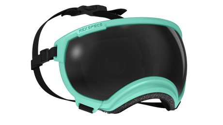 rex specs hundebrille größe m farbe mint