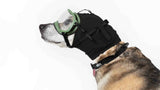 Hundegehörschutz Rex Specs Ear Pro