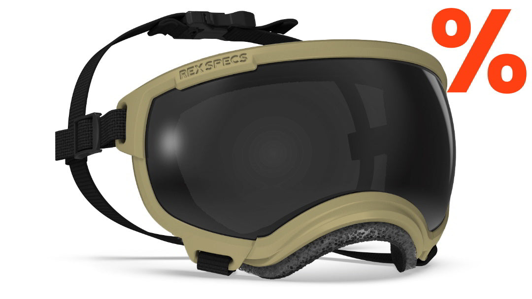 Hundebrille Rex Specs V2 Größe M