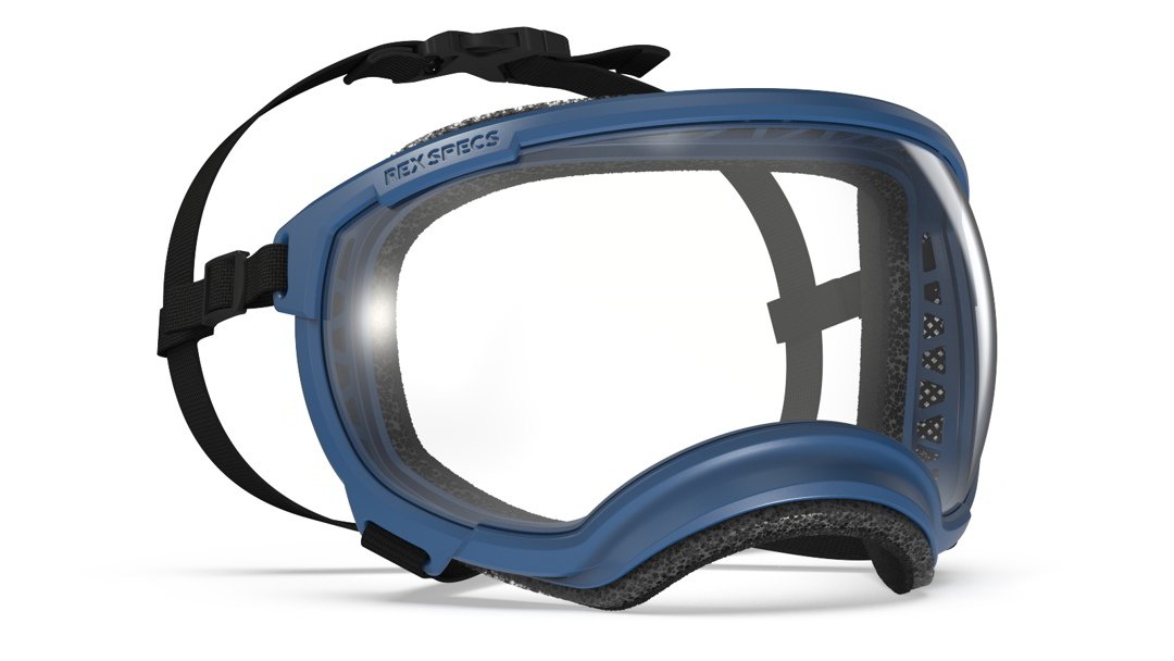 Rex Specs Vorführbrille V2
