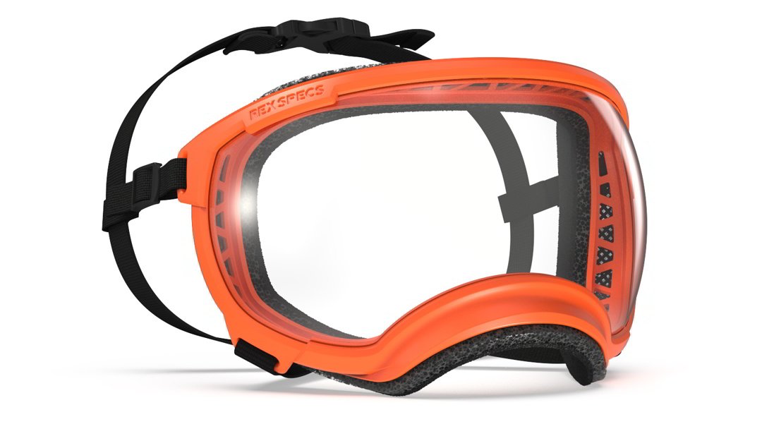 Rex Specs Vorführbrille V2