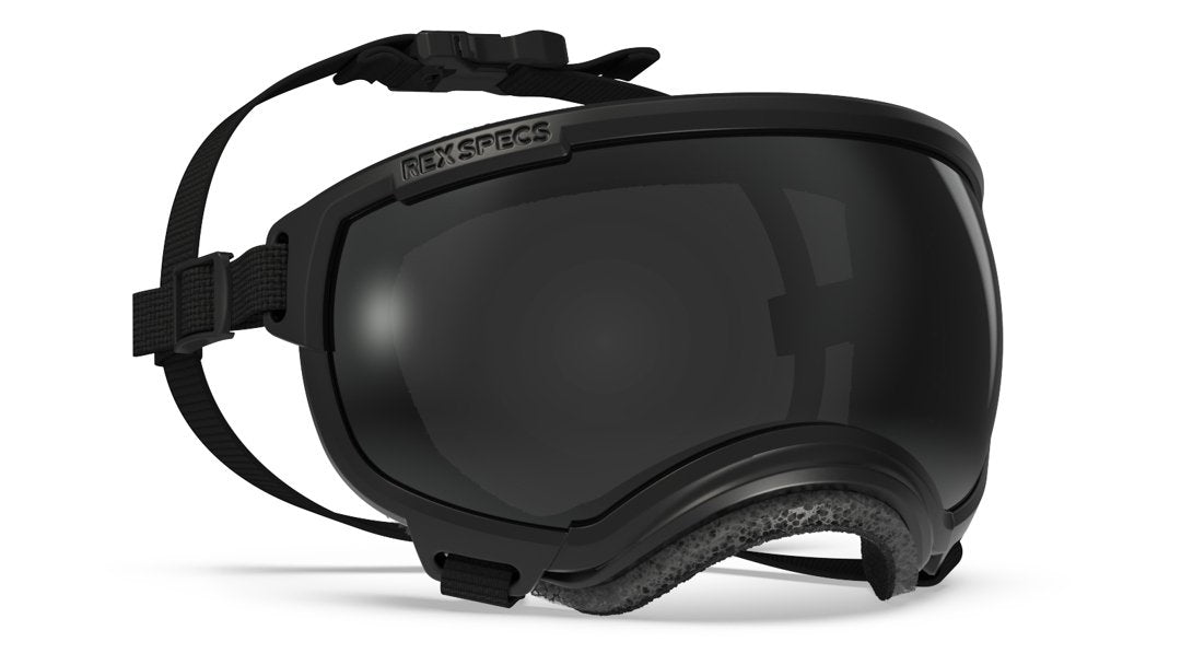 Rex Specs Vorführbrille V2