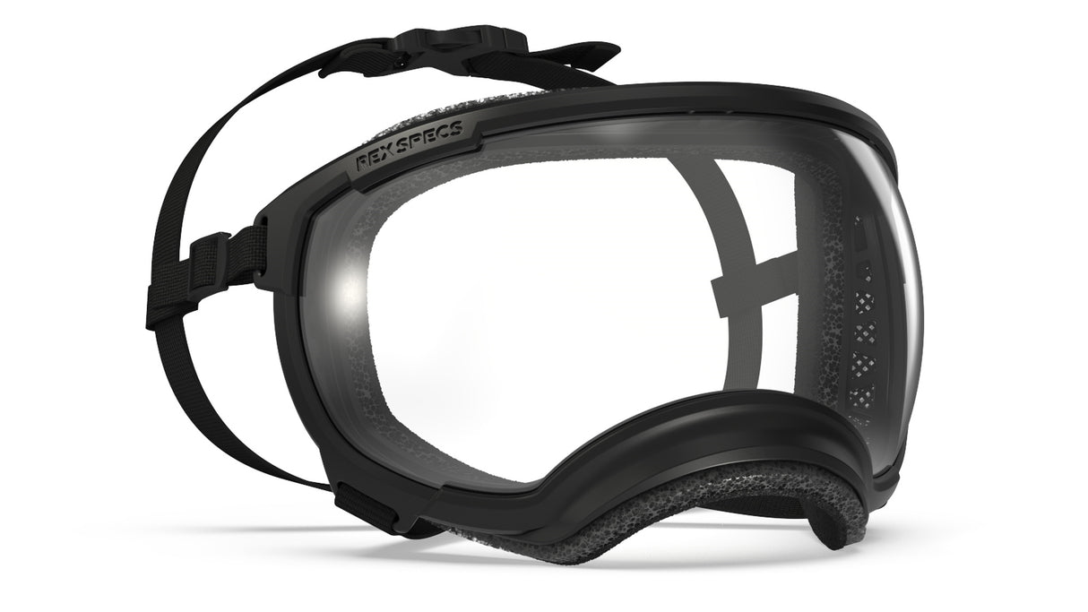produktfoto rex specs hundebrille in farbe schwarz