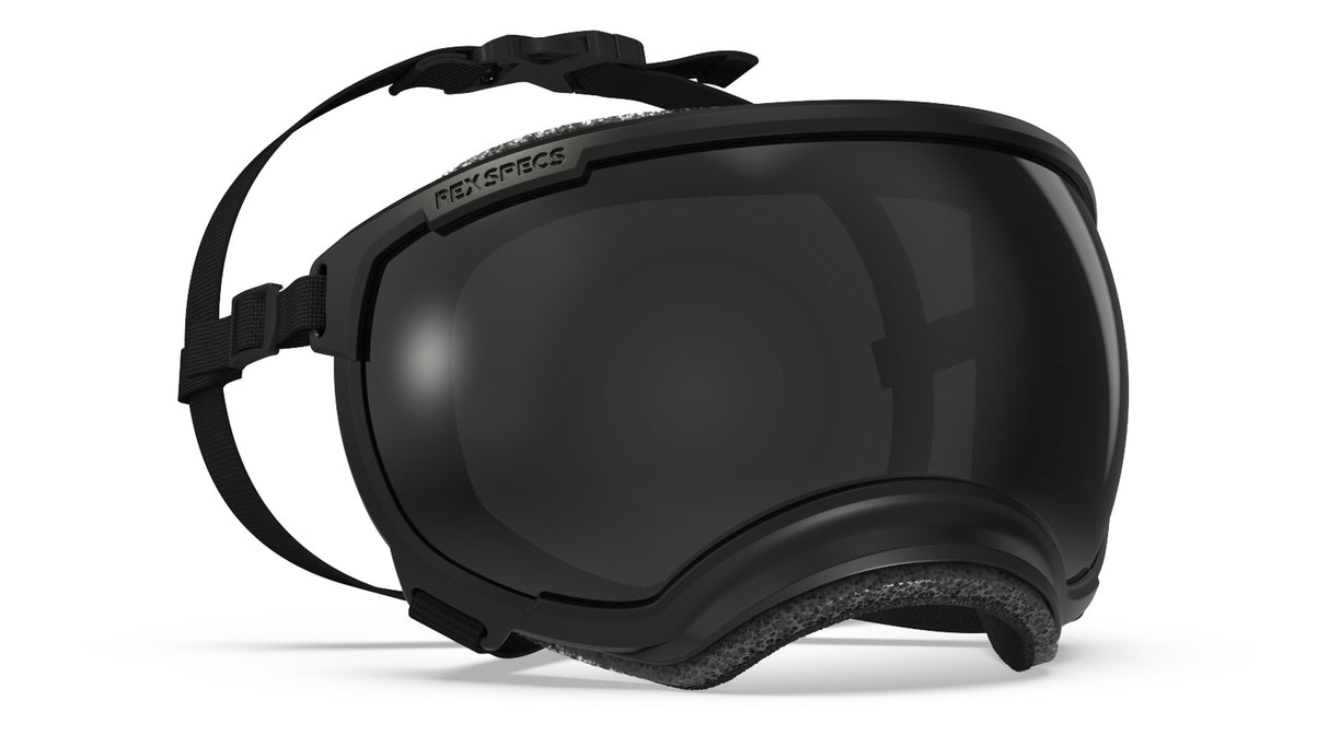 produktfoto rex specs hundebrille in farbe schwarz