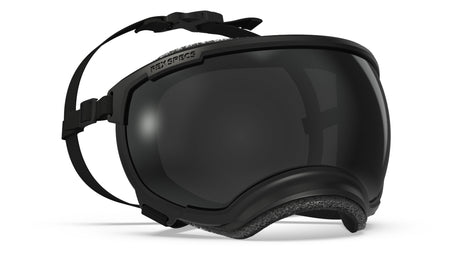 produktfoto rex specs hundebrille in farbe schwarz