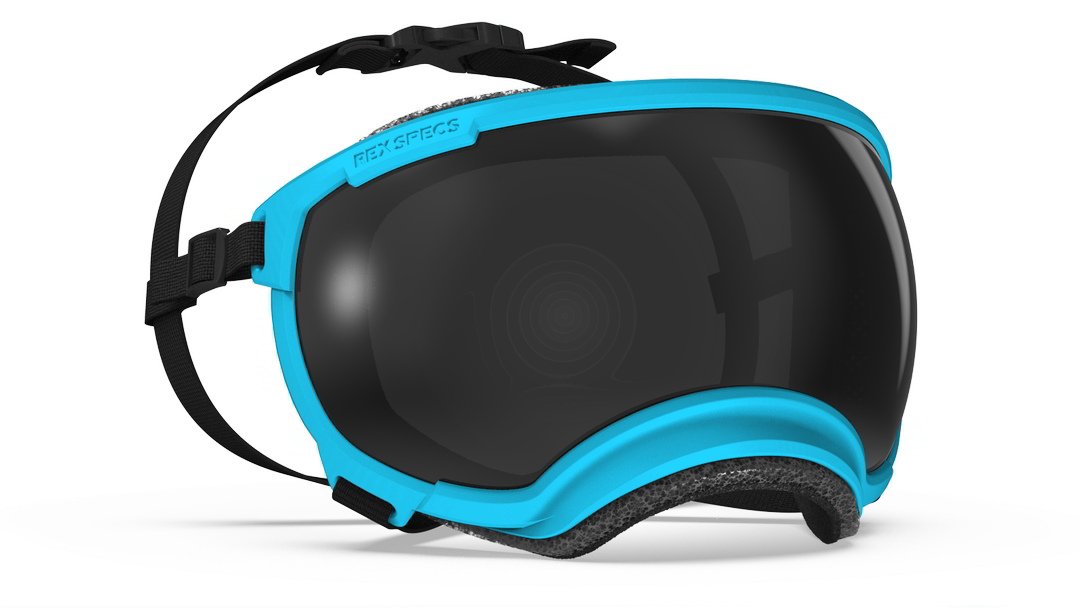 Rex Specs Vorführbrille V2