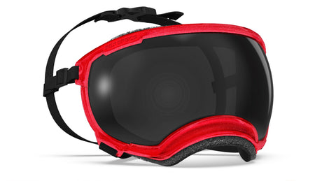 hundebrille in farbe rot mit metallic effekt.