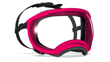produktfoto rex specs hundebrille in farbe pink