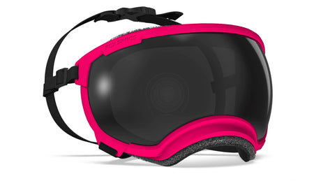 hundebrille von rex specs in farbe pink größe xl