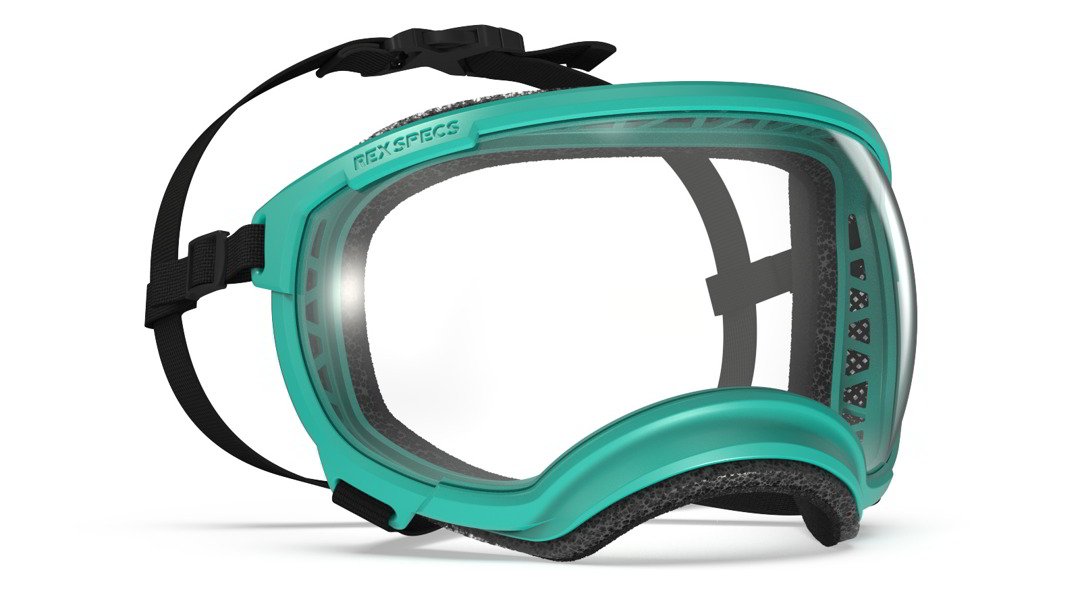 Rex Specs Vorführbrille V2