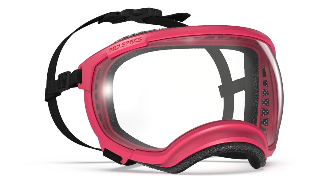 Rex Specs Vorführbrille V2