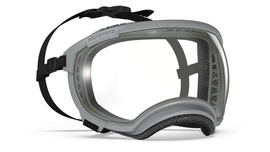 Hundebrille Rex Specs V2 Größe L