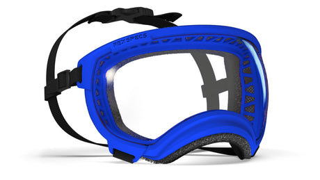 hundebrille mit klarer scheibe  rahmenfarbe blau