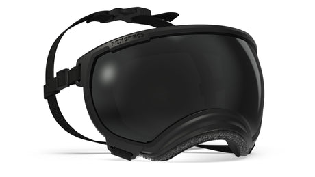 rex specs hundebrille schwarz