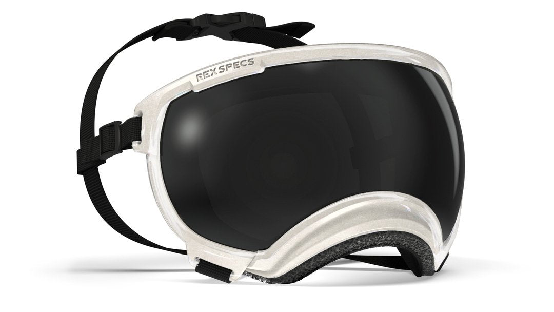 Rex Specs Vorführbrille V2