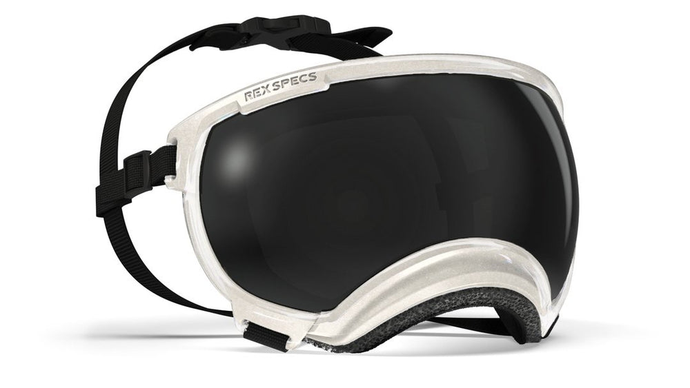 Rex Specs V2 shipping returns